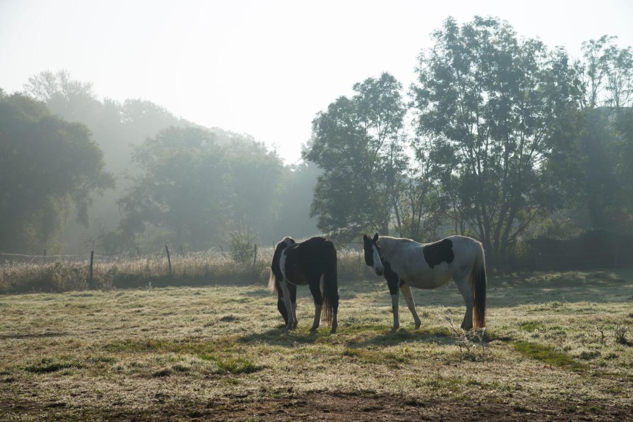 Ranchzimmer Am Hippo-Campus Reit- Und Therapiezentrum Deutsch Haslau Экстерьер фото