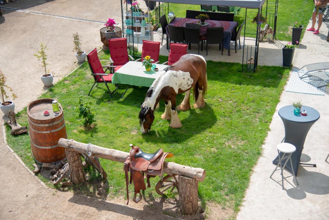 Ranchzimmer Am Hippo-Campus Reit- Und Therapiezentrum Deutsch Haslau Экстерьер фото
